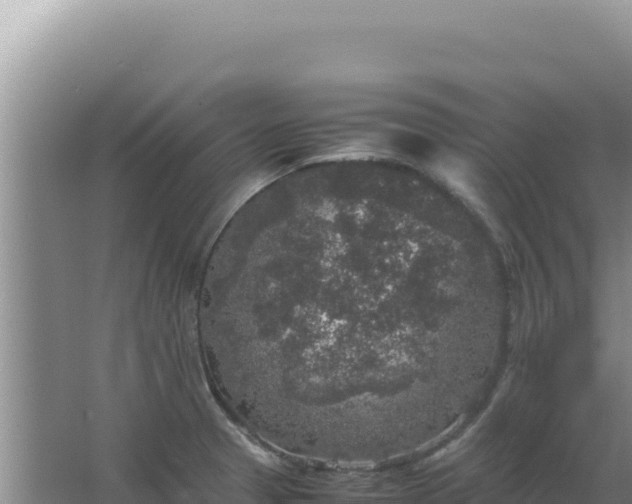 X0000067501329200604150057