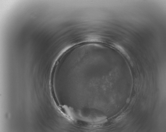 X0000067501331200604150057