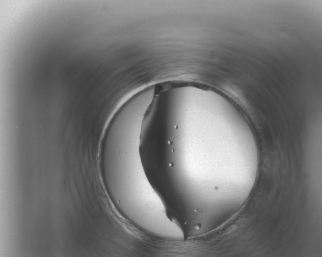 X0000067501332200604150058