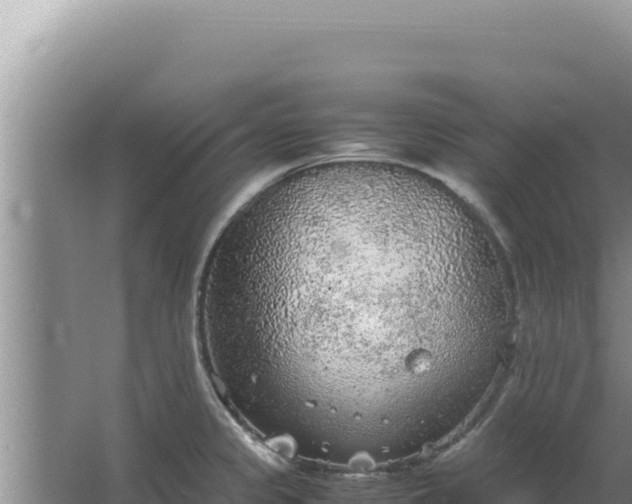 X0000067501333200604150058