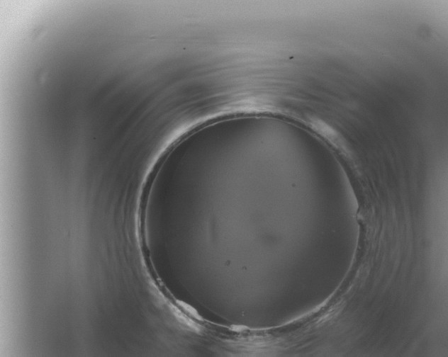 X0000067501334200604150058