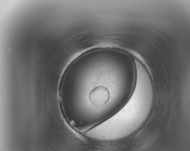 X0000067501335200604150058