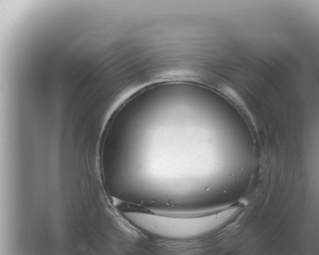 X0000067501336200604150058