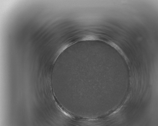 X0000067501337200604150058