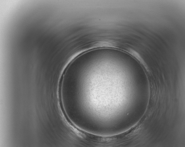 X0000067501339200604150058