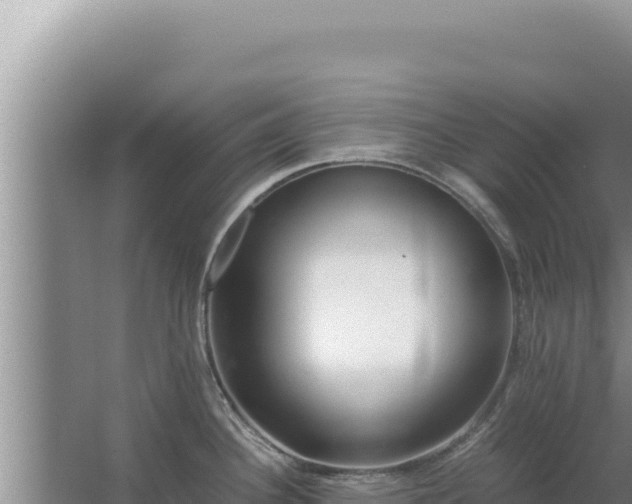 X0000067501340200604150058