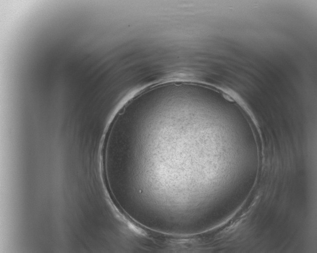 X0000067501341200604150058