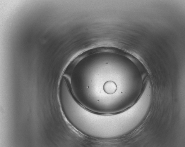 X0000067501342200604150058