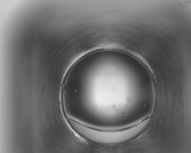 X0000067501343200604150058