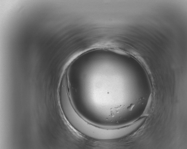 X0000067501344200604150058