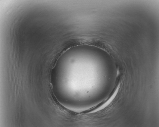 X0000067501345200604150057