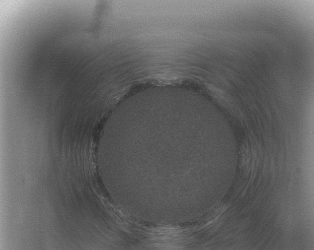 X0000067501346200604150057