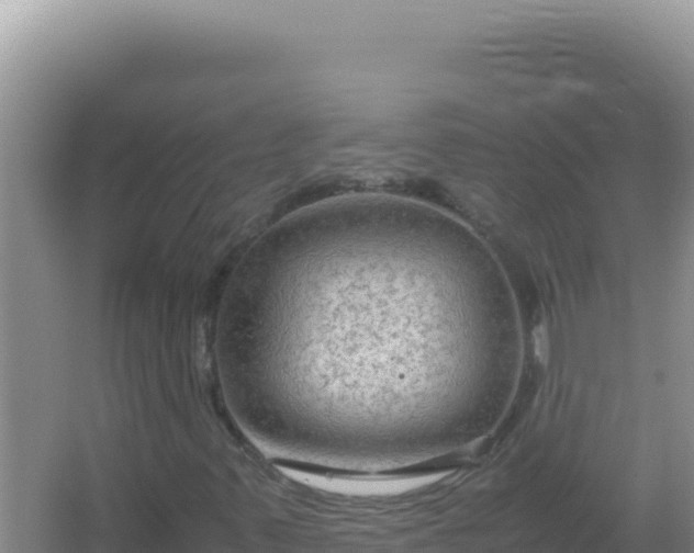 X0000067501347200604150057