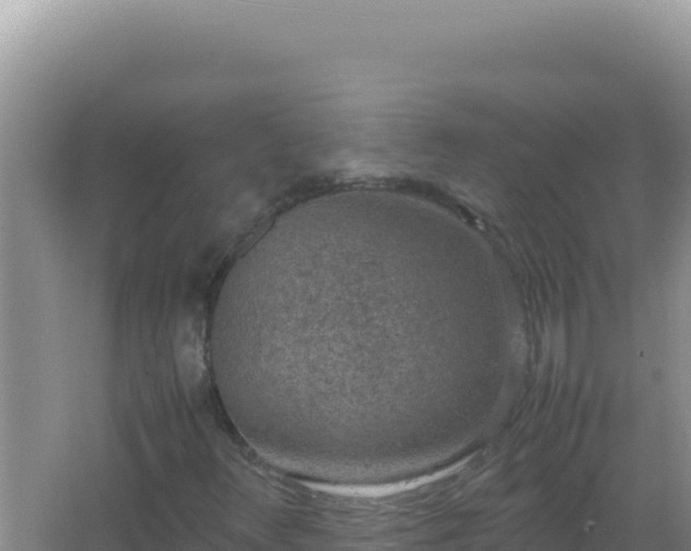 X0000067501348200604150057