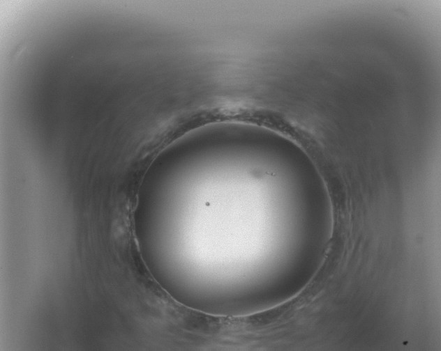 X0000067501349200604150057