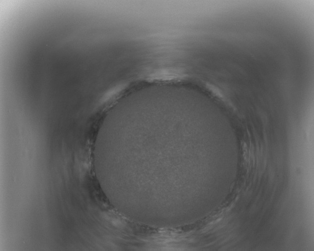 X0000067501350200604150057