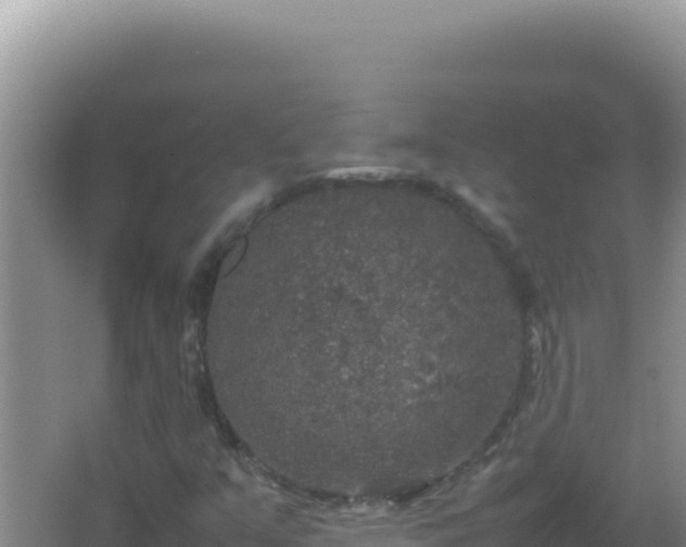 X0000067501351200604150057