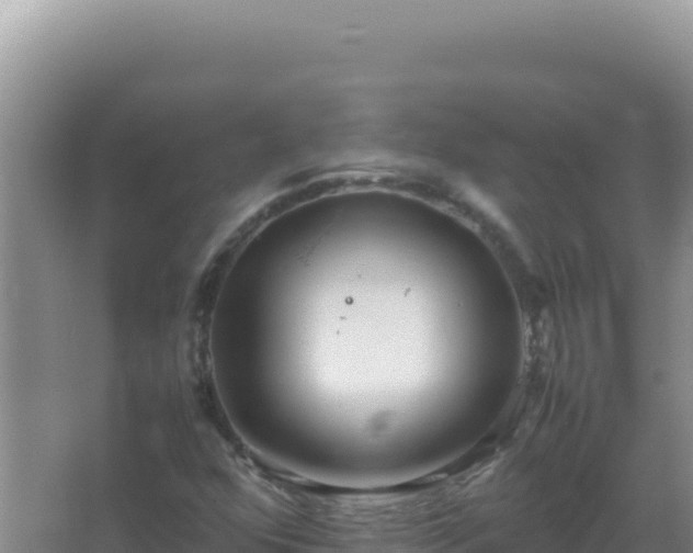 X0000067501352200604150057