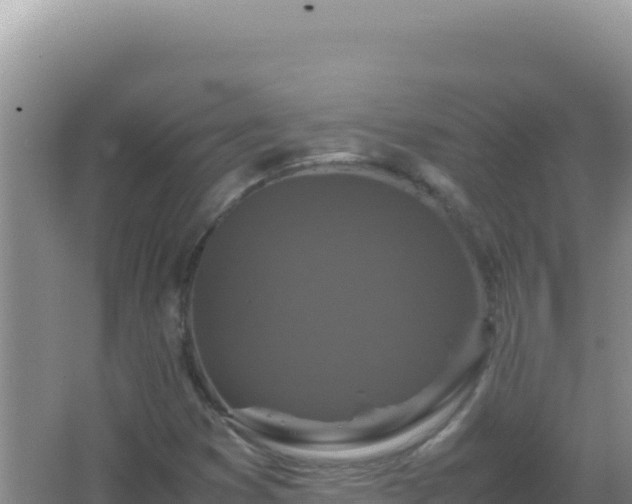 X0000067501353200604150057