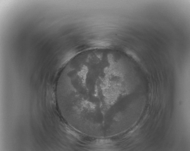 X0000067501354200604150057