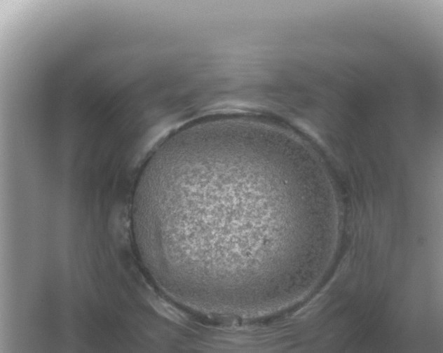 X0000067501355200604150057