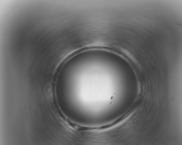 X0000067501356200604150057