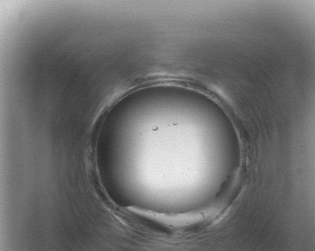 X0000067501357200604150057