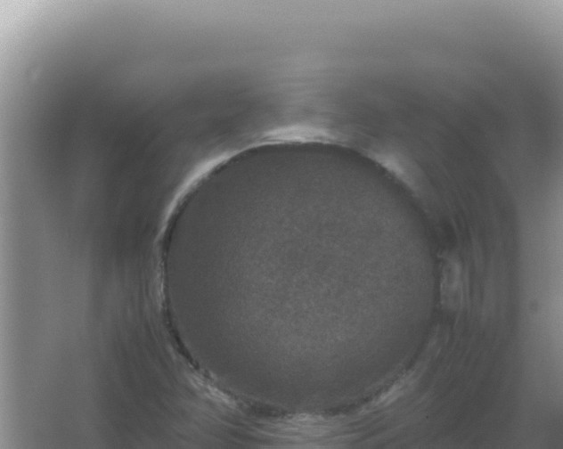 X0000067501358200604150057