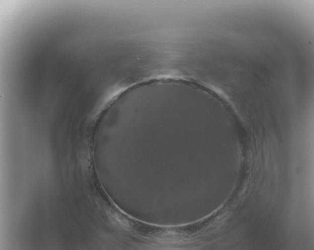 X0000067501359200604150057