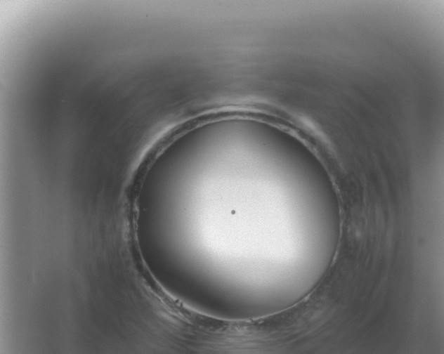 X0000067501360200604150057