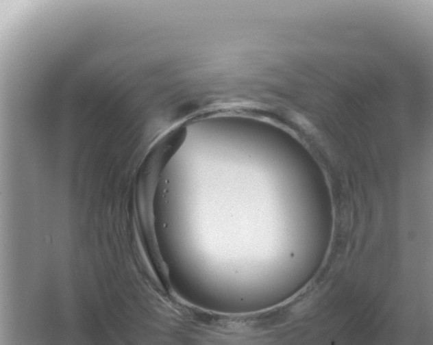 X0000067501361200604150057