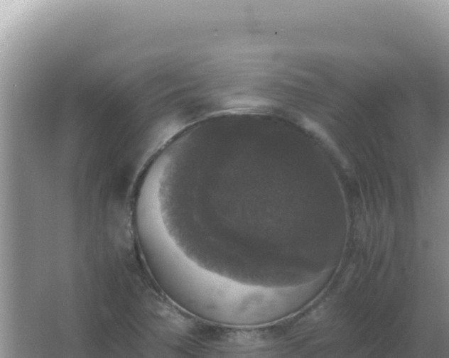 X0000067501362200604150057