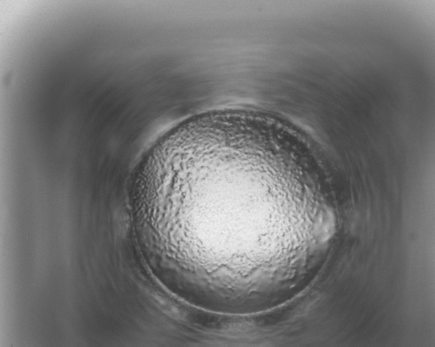 X0000067501363200604150057