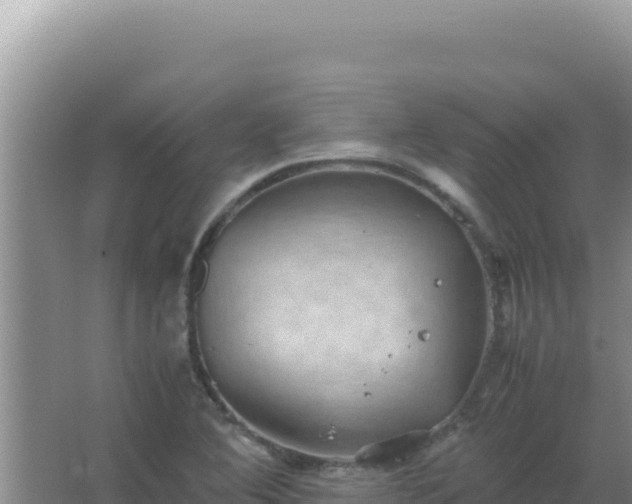 X0000067501364200604150057