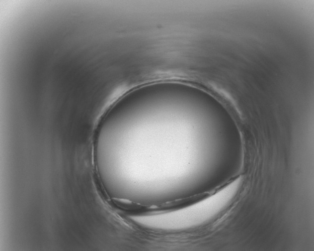 X0000067501365200604150057