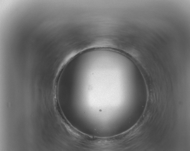 X0000067501366200604150057