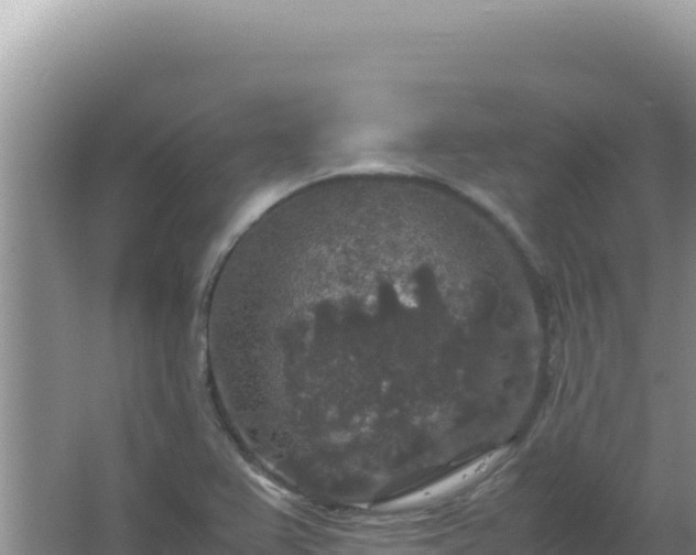 X0000067501367200604150057