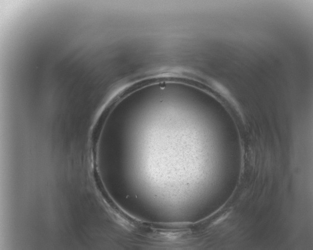 X0000067501368200604150057