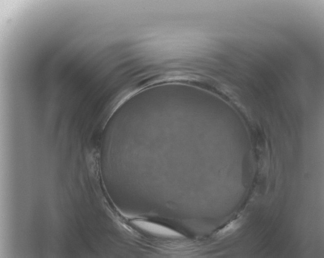 X0000067501369200604150057