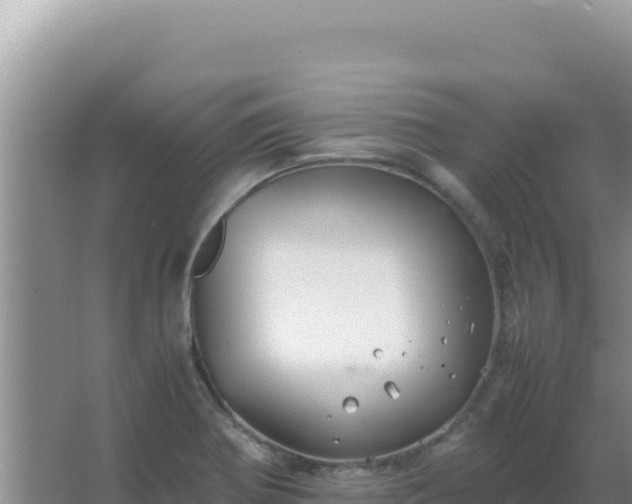 X0000067501370200604150056