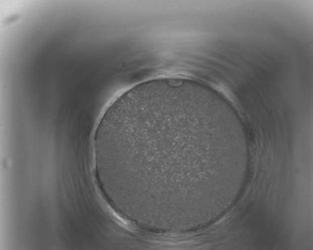 X0000067501371200604150056