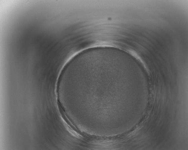 X0000067501372200604150056