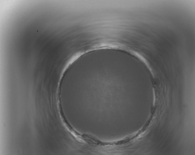 X0000067501373200604150056