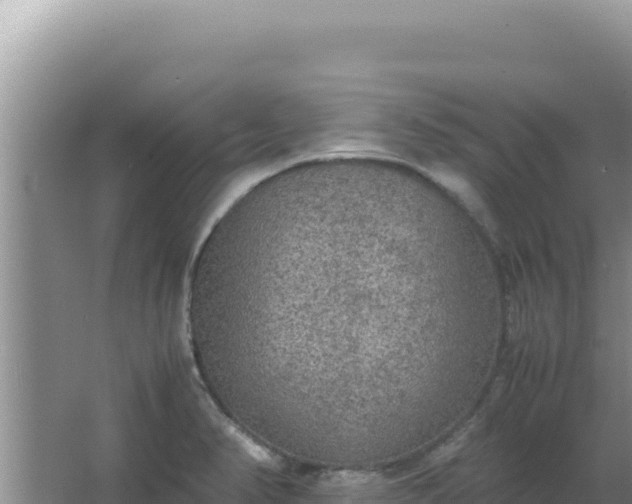 X0000067501374200604150056