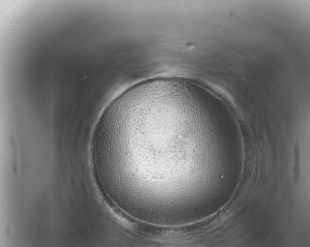 X0000067501375200604150056