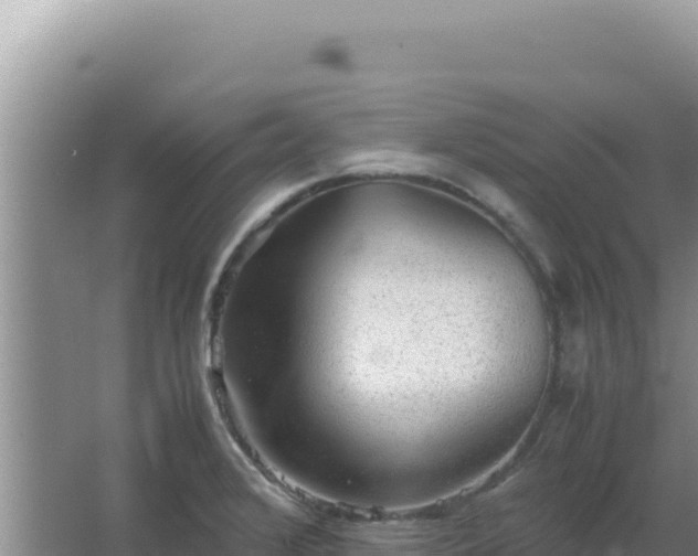 X0000067501376200604150056