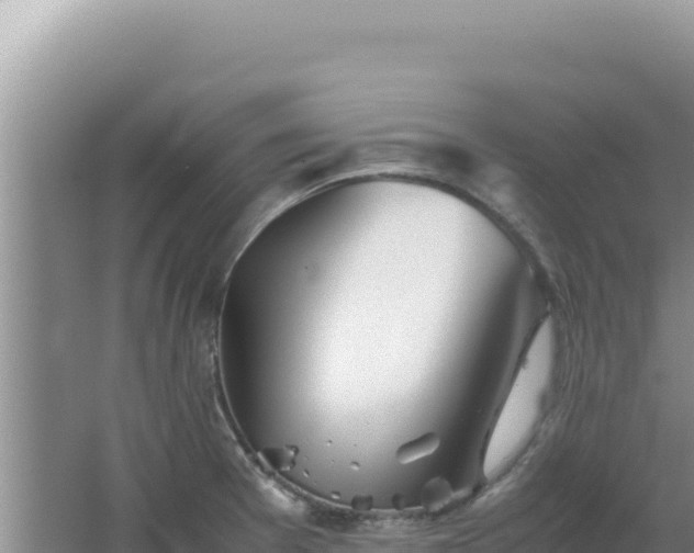 X0000067501377200604150056