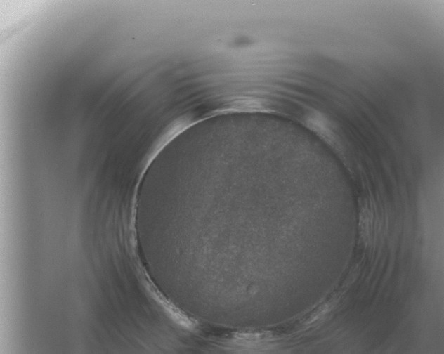 X0000067501378200604150056