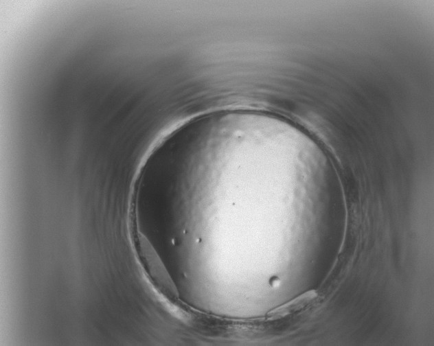 X0000067501379200604150056