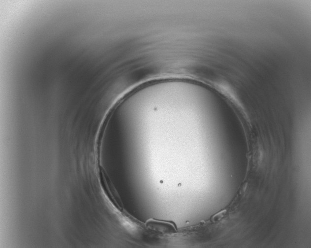 X0000067501380200604150056